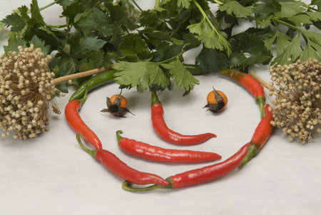 still life with peppers