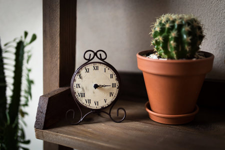 Retro-watches. On the shelf with a cactus in a pot.