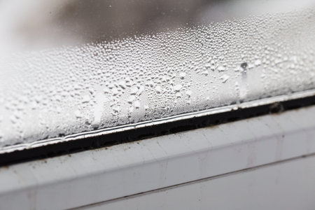 mold on a foggy plastic window of white color. Close-up