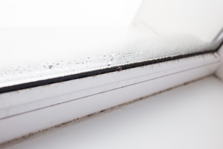 mold on a foggy plastic window of white color. Close-upの写真素材
