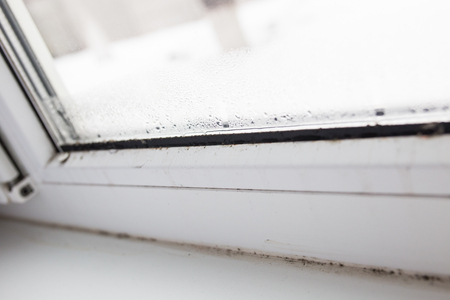 mold on a foggy plastic window of white color. Close-upの写真素材