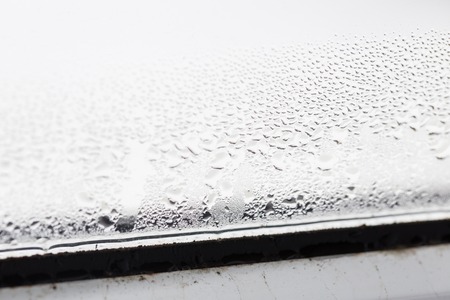mold on a foggy plastic window of white color. Close-upの写真素材