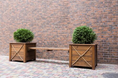 Bench for rest with bushes on a background of a brick wall.の写真素材