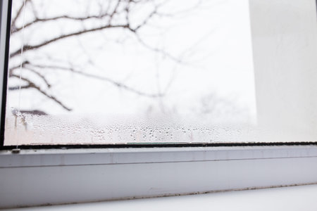 mold on a foggy plastic window of white color.