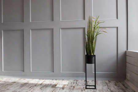 Green flower in a vase in the form of ears of wheat against a gray wall indoorsの写真素材