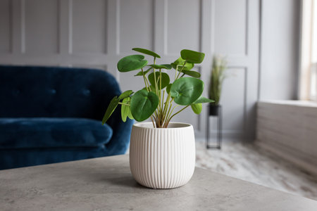 Green artificial flower in a white vase on the table close-up.の写真素材