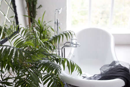 Stylish washroom with big black and white bathtubの写真素材