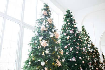 Two elegant Christmas trees in a bright room. New Years and Christmasの写真素材