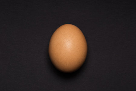 Egg on a black background, close-up, side view