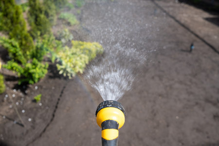 Men watering the ground in a garden in the backyard of their summer cottage. Watering a vegetable...