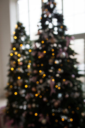 Blurred background. Two elegant Christmas trees in a bright room. New Years and Christmas