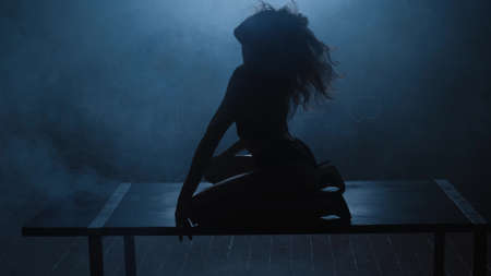 Silhouette of a sexy girl dancing an erotic sensual dance in blue smoke.の写真素材