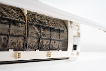 Dirty in dust and mold air conditioner filter close-up. Home air conditioner maintenance.の写真素材