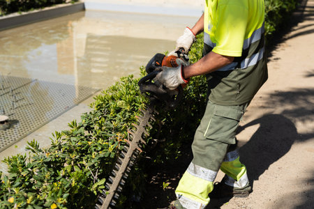 The gardener trims the bushes with a trimmer machine.
