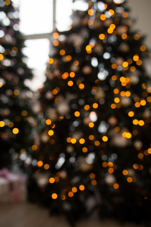 Blurred background. Two elegant Christmas trees in a bright room. New Years and Christmasの写真素材