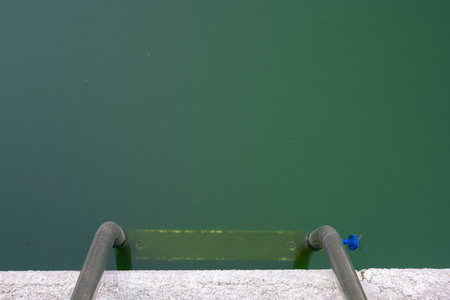 Swimming pool with dirty green water close-up.の写真素材