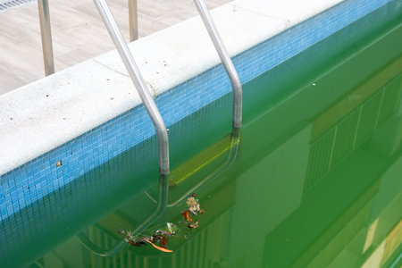 Swimming pool with dirty green water close-up.