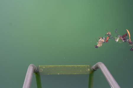 Swimming pool with dirty green water close-up.の写真素材