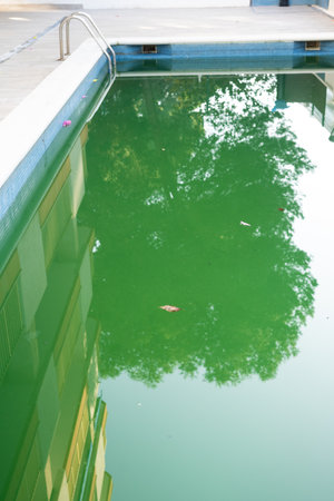 Swimming pool with green water close-up.の写真素材