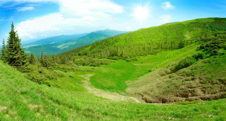 Fantastic green meadow in mountain