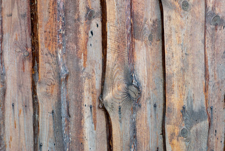 texture of a pine wooden board