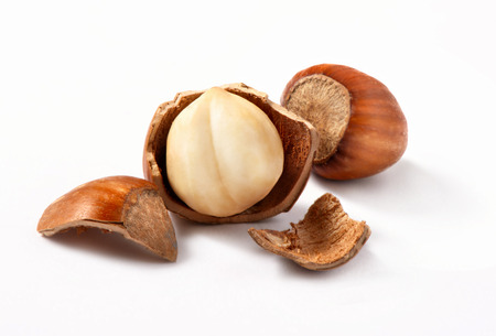 Hazelnuts, filbert on white backgroundの写真素材