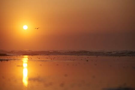 Early morning, beach, sea fog waves sunrise sprayの写真素材