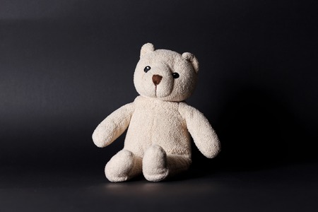 the teddy bear on black backgroundの写真素材