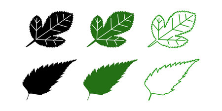 Mulberry leaf and its leaf. Vector icon illustration materialのイラスト素材