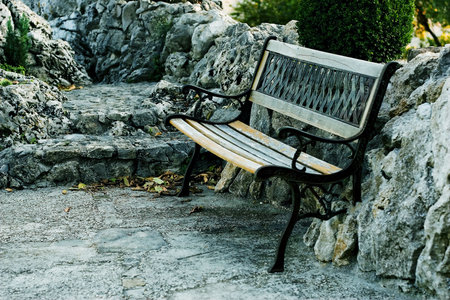 Bench in the natureの写真素材