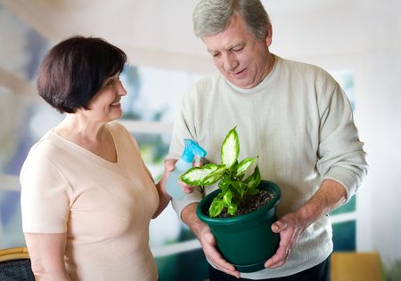 Attractive mature couple with flowerpot, smilingの写真素材