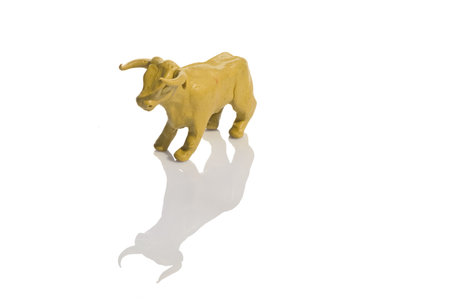 yellow cowの写真素材