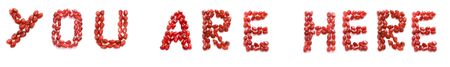 phrase you are here of red pomegranate letters の写真素材