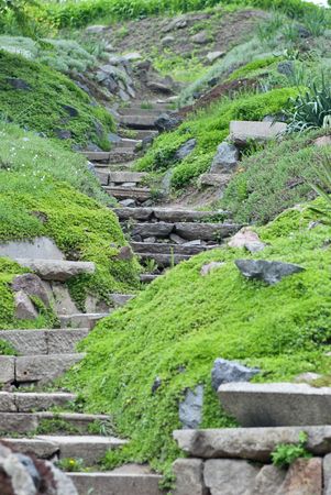 Green spring nature view in the park の写真素材