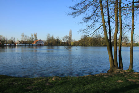 Small pond with trees and blue skyの写真素材