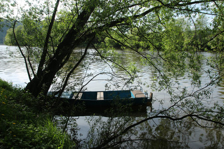 Small boat on the river at the treeの写真素材