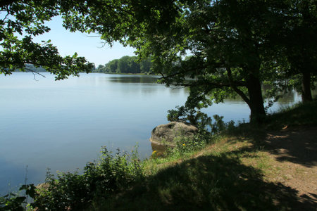 pond with trees and stone in the shape of a turtle headの写真素材