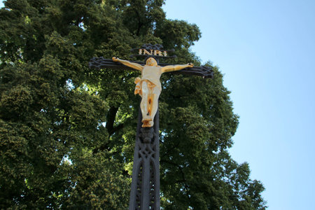 Crucifix with gold Jesus Christ near a treeの写真素材