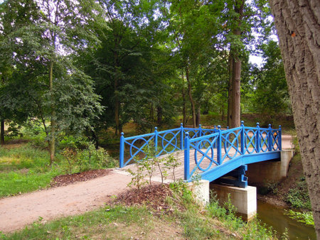 Blue footbridge over a creekの写真素材