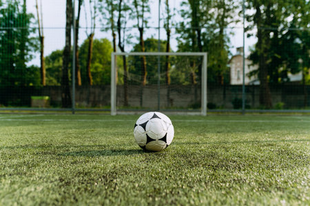 the soccer ball stands on the soccer field in front of the goal. soccer ball on artificial turfの写真素材