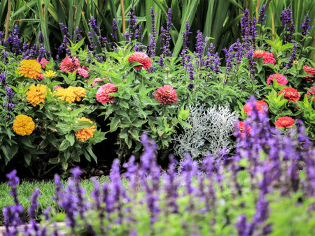 Gardenの写真素材