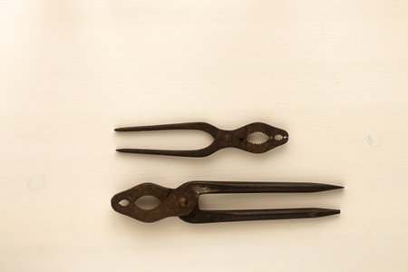 Old rusty pliers on a white background. top view Flat lay. Copyspace.の写真素材