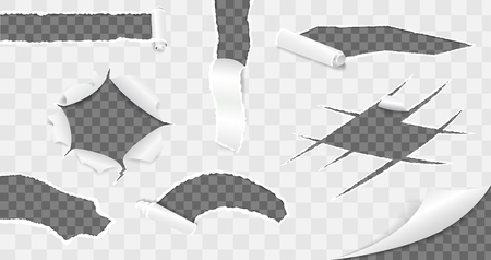Torn paper collection. Vector illustrationのイラスト素材