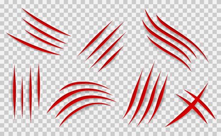 Claw scratches mark set. Vector scrape track.のイラスト素材