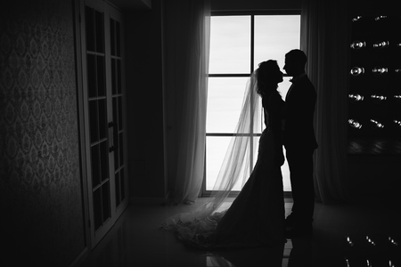 Bride and groom at the wedding Day. Wedding couple, happy newlywed woman and man, in a beautiful hotel room, studio. Loving couple. Bride and groomの写真素材