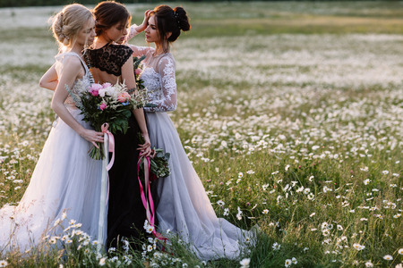 three beautiful girls brunette and blonde, brown-haired woman enjoying Daisy field, nice long dresses, pretty girl relaxing outdoor, having fun, happy young lady and Spring green nature, harmony conceptの写真素材
