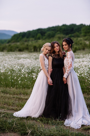 three beautiful girls brunette and blonde, brown-haired woman enjoying Daisy field, nice long dresses, pretty girl relaxing outdoor, having fun, happy young lady and Spring green nature, harmony conceptの写真素材