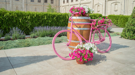 Pink bicycle, wooden barrel and pots of bright petunias on an alley among green plants. Decorative street or garden decorating ideas. Old bike with flowers. Artistic floral design.の写真素材