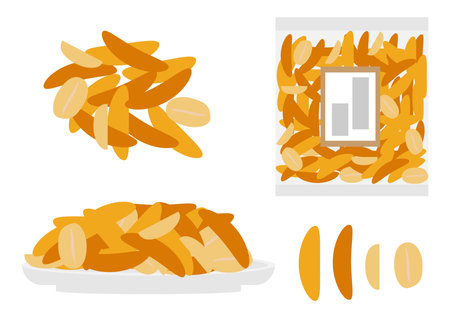 Persimmon seed illustration setのイラスト素材