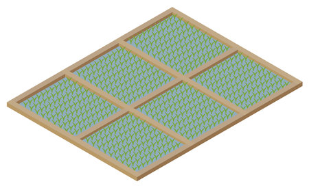 Isometric image of newly planted rice fieldsのイラスト素材
